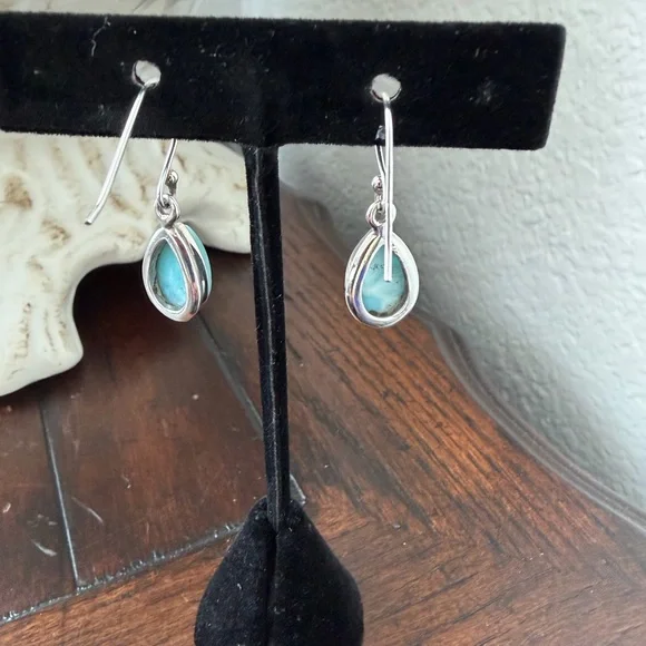 Larimar Fish Hook Earrings - Picture 4 of 6